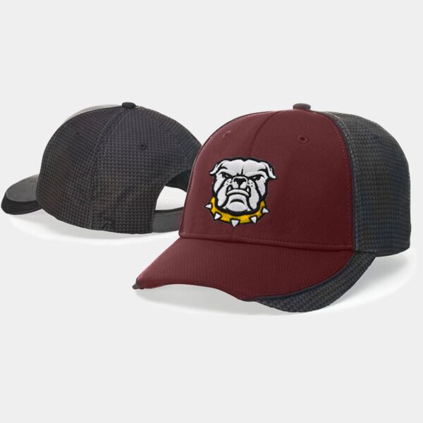 Richardson Carbon Fiber Adjustable Cap Thumbnail
